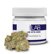 LAB-DFTB-24003 – 5g
