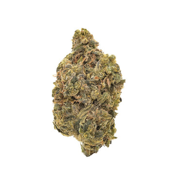 Acapulco Gold Biologique