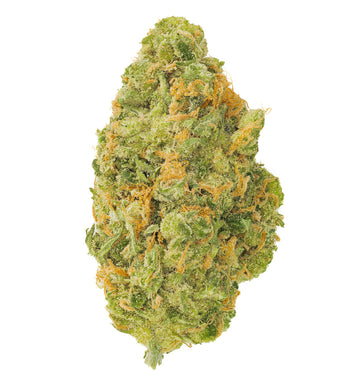 Neon Sour