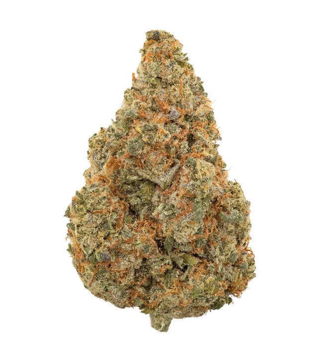 Organic Blue Jack City