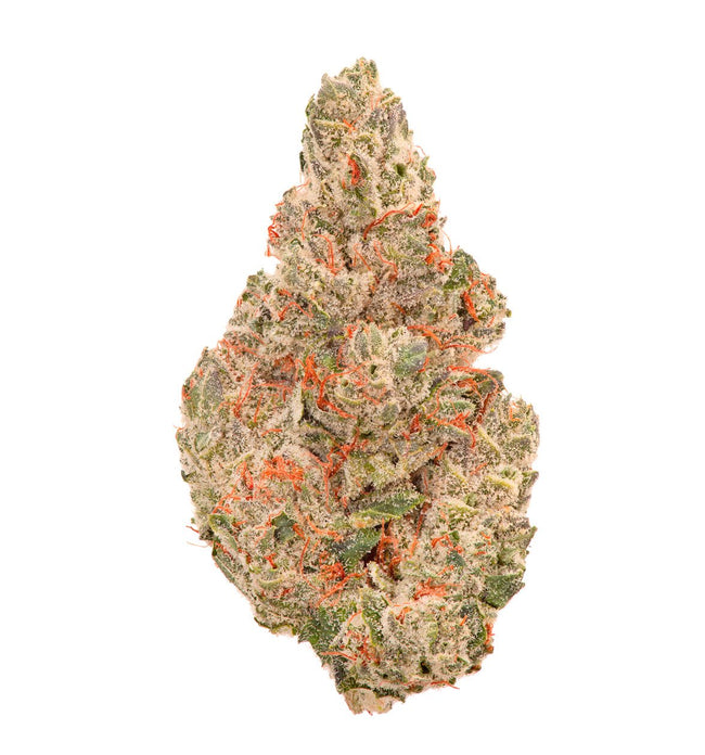 Medical Glu